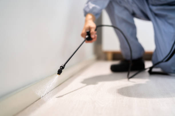 Bed Bug Pre-Treatment Preparation Assessment in Wesson