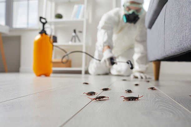 Post-Treatment Bed Bug Interceptor Monitoring in Wesson