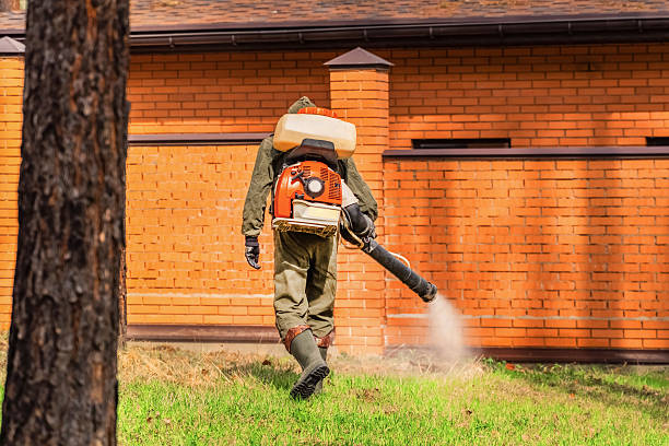Bed Bug Clearance Verification and Documentation in Wesson